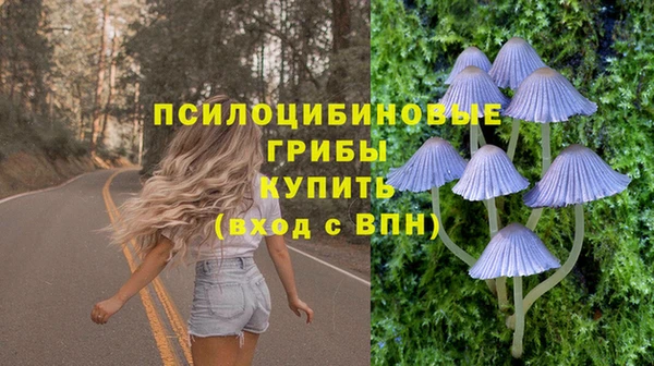 бошки Кулебаки