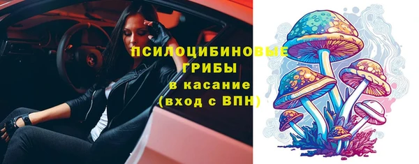 бошки Кулебаки