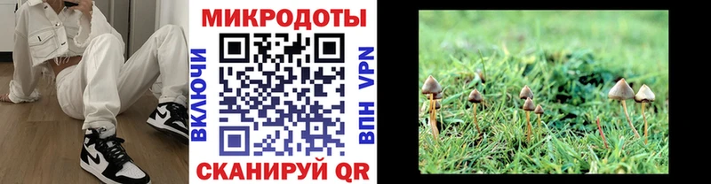 Галлюциногенные грибы MAGIC MUSHROOMS  Купить где  Славянск-на-Кубани 